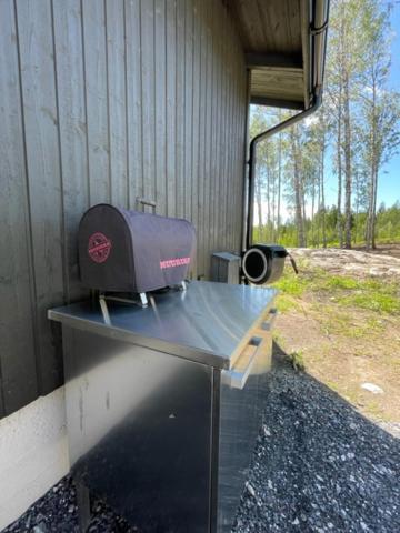 Villa Lyxfaellan Kemionsaari Buitenkant foto